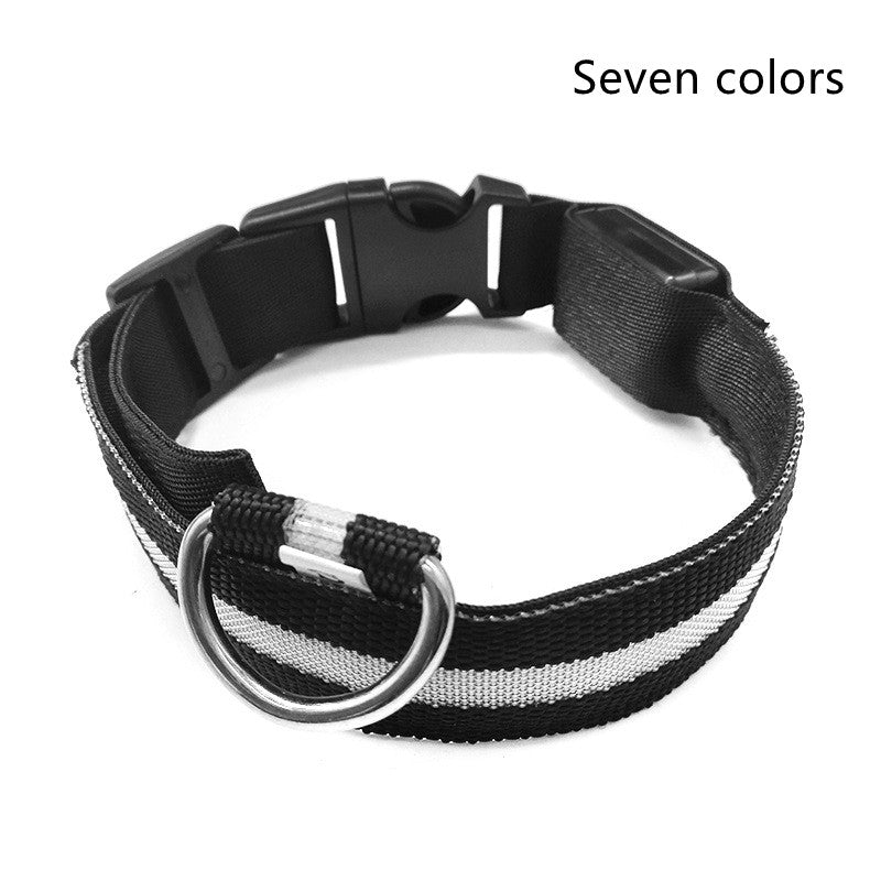 LED Light-Up Dog Collar - Flashing Glow in the Dark Safety Collar, USB or Battery