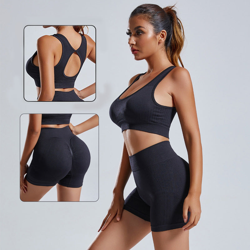 2pcs Yoga Set Women's Vest and Shorts Tracksuit Seamless Workout