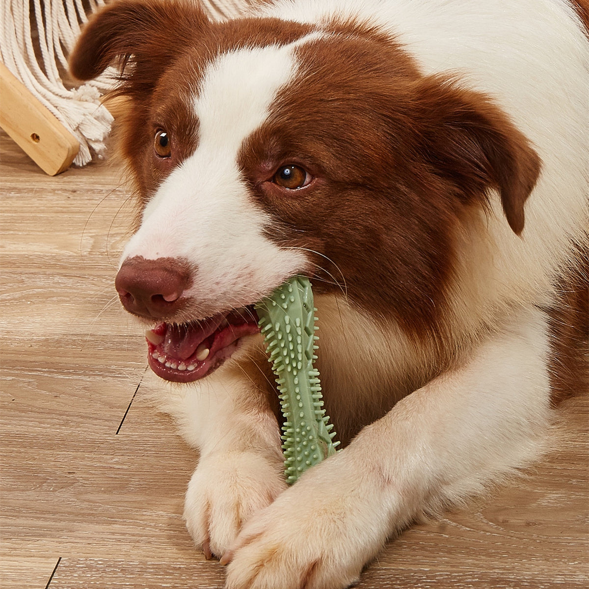 TPR Dog Chew Toy - Teeth Cleaning Toothbrush Stick for Puppies & Small Dogs