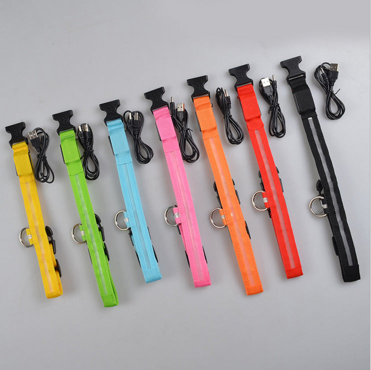 LED Light-Up Dog Collar - Flashing Glow in the Dark Safety Collar, USB or Battery