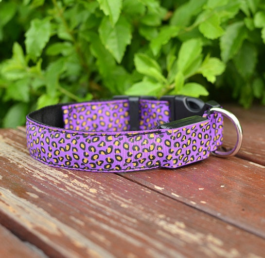 Leopard LED Dog Collar - Adjustable Light-Up Safety Collar, Battery or Rechargeable