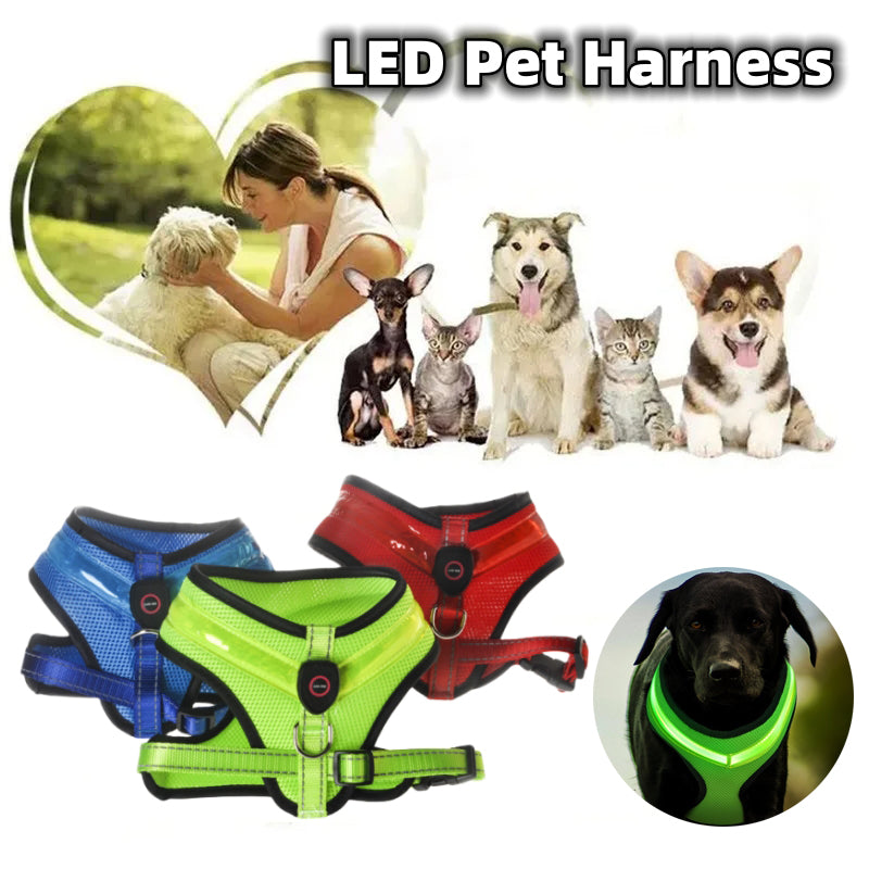 LED Dog Harness Vest - USB Rechargeable Light-Up Reflective Harness