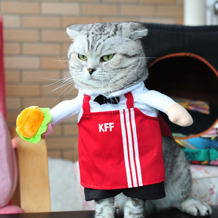 Spring & Autumn Pet Cat Costume - Cute Cat Clothes