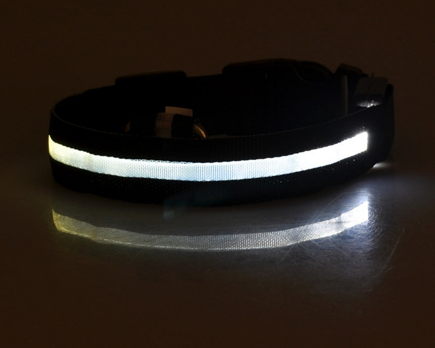 LED Light-Up Dog Collar - Flashing Glow in the Dark Safety Collar, USB or Battery
