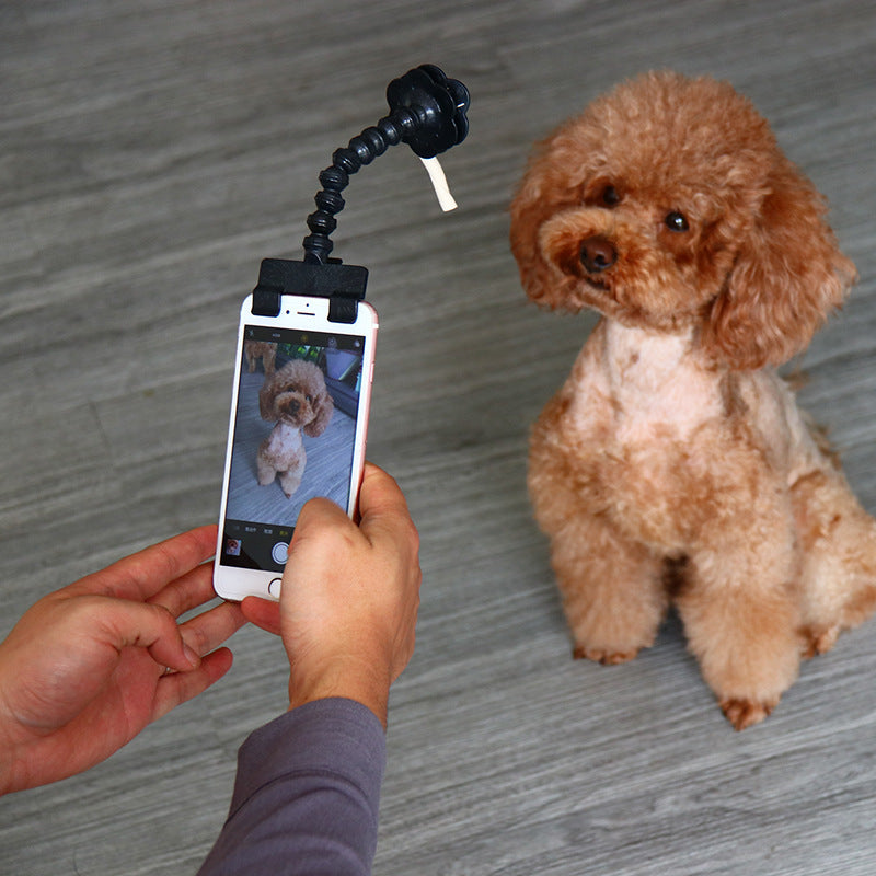 Pet Selfie Stick Clip - Phone Treat Holder for Perfect Dog & Cat Photos
