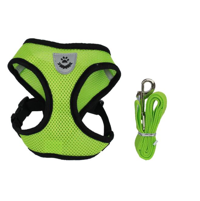 Pet Car Seat Belt Harness Set - Adjustable Dog Harness with Seat Belt Leash