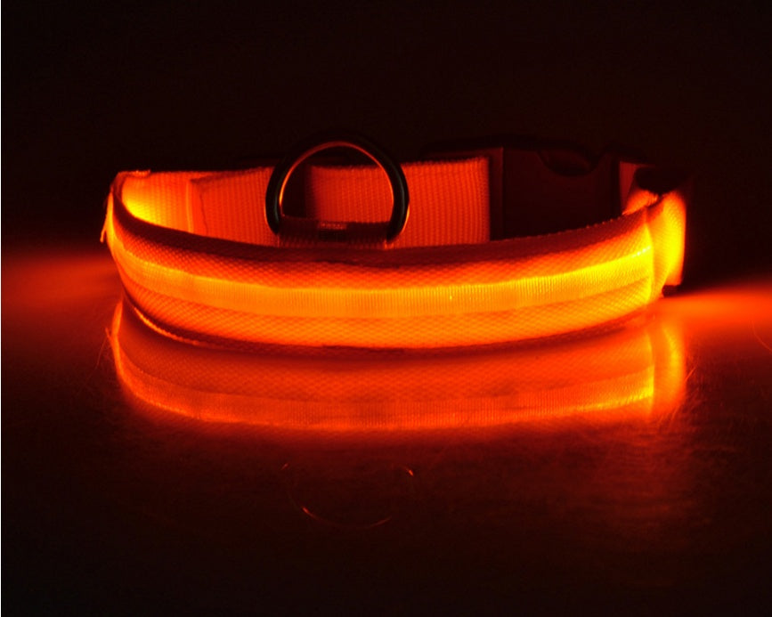 LED Light-Up Dog Collar - Flashing Glow in the Dark Safety Collar, USB or Battery
