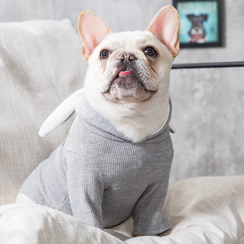 Soft Spring & Autumn Dog Sweater - Comfortable Pet Jumper for Small & Medium Dogs