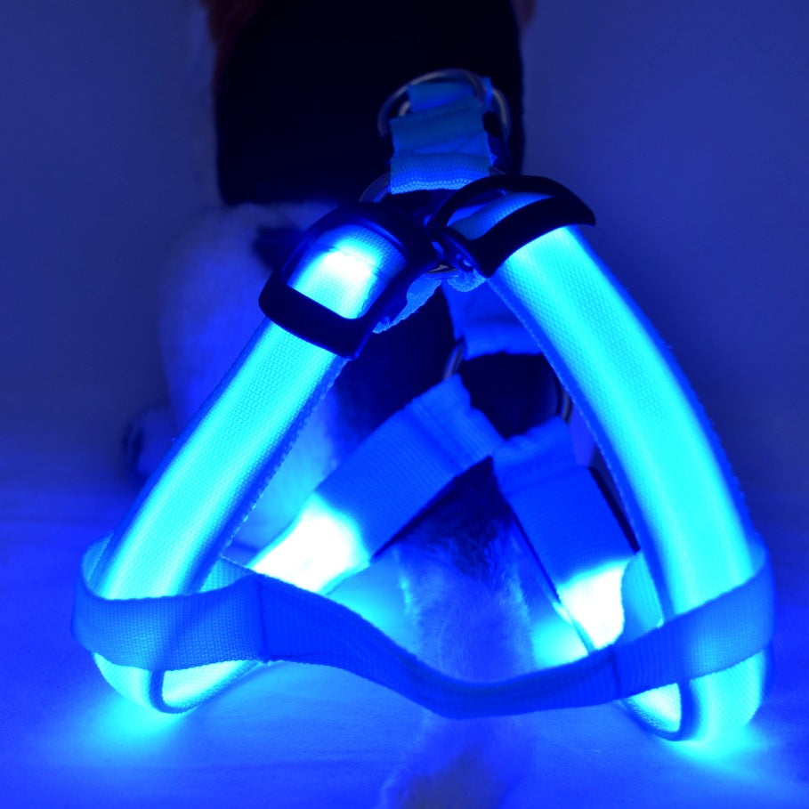 LED Light-Up Dog Harness - Glowing Reflective Chest Harness, USB or Battery