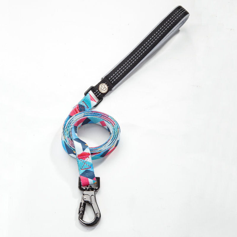 Printed Dog Leash 150 cm - Durable Polyester Lead for Small, Medium & Large Dogs