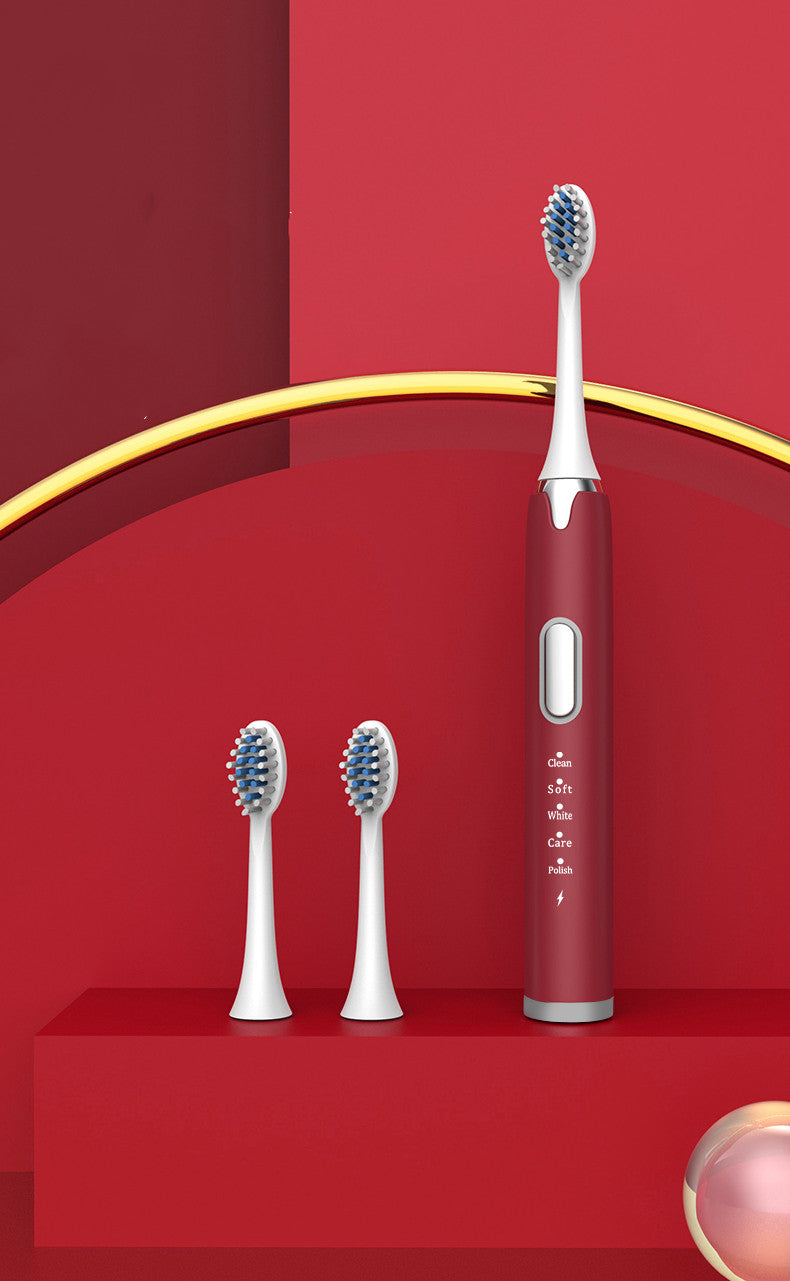 Ultrasonic Sonic Electric Toothbrush - USB Rechargeable with Brush Heads