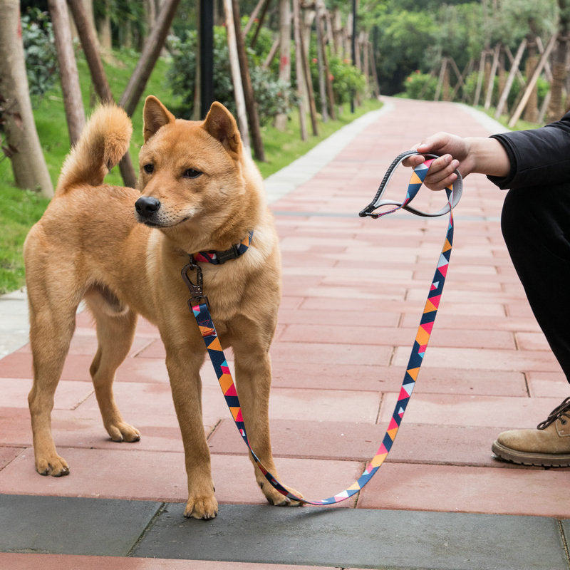 Printed Dog Leash 150 cm - Durable Polyester Lead for Small, Medium & Large Dogs