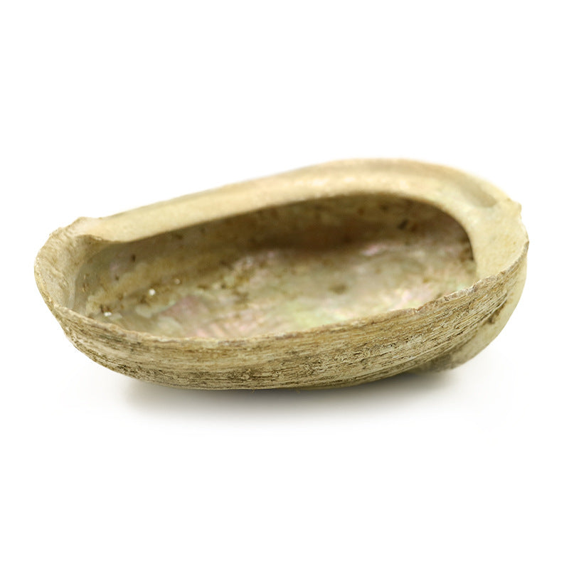 White Sage Smudge Bundle - Large Leaf Space Cleansing Sage Stick