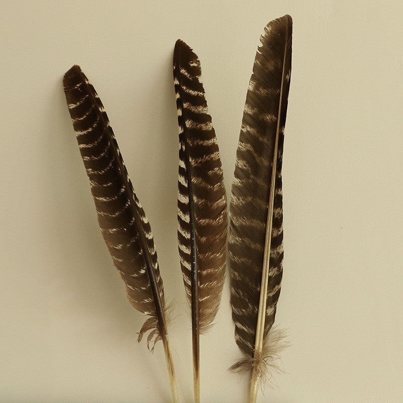 White Sage Smudge Bundle - Large Leaf Space Cleansing Sage Stick