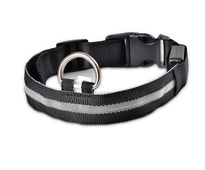 LED Light-Up Dog Collar - Flashing Glow in the Dark Safety Collar, USB or Battery