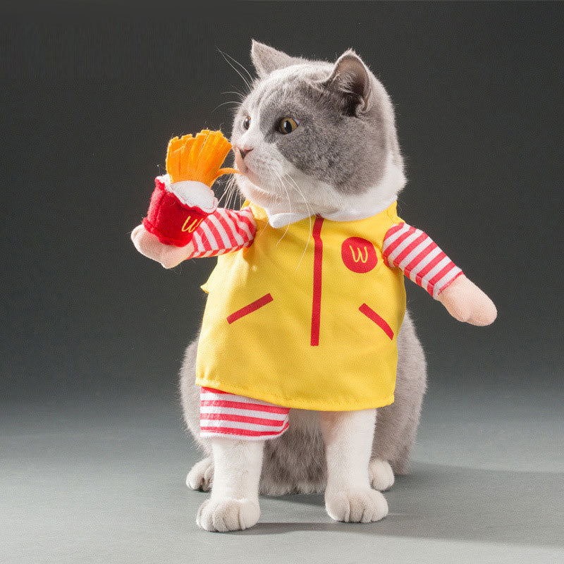 Spring & Autumn Pet Cat Costume - Cute Cat Clothes