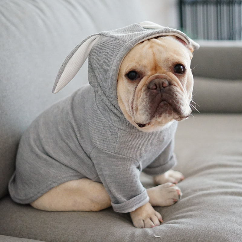 Soft Spring & Autumn Dog Sweater - Comfortable Pet Jumper for Small & Medium Dogs