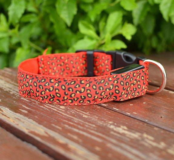 Leopard LED Dog Collar - Adjustable Light-Up Safety Collar, Battery or Rechargeable