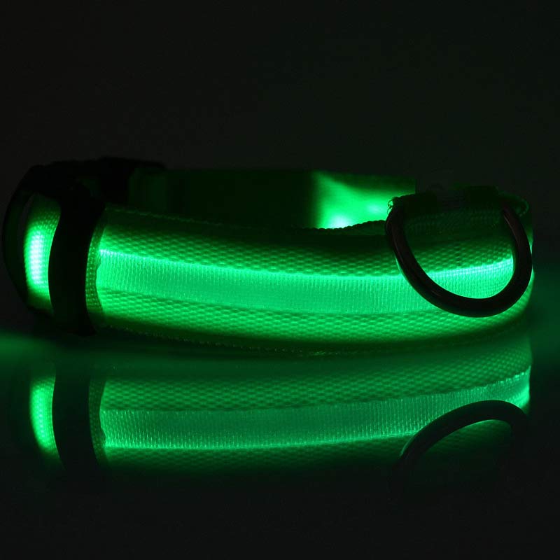 LED Light-Up Dog Collar - Flashing Glow in the Dark Safety Collar, USB or Battery