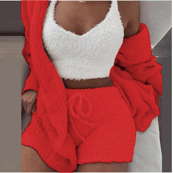 3 Pieces of Fashionable Ladies Plush Home Clothes