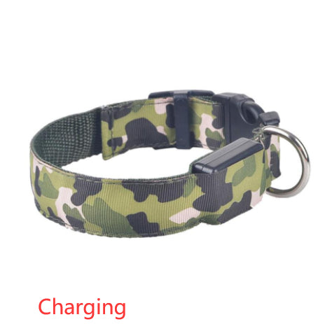 Camouflage LED Dog Collar - Light-Up Safety Collar, Battery or USB Charging