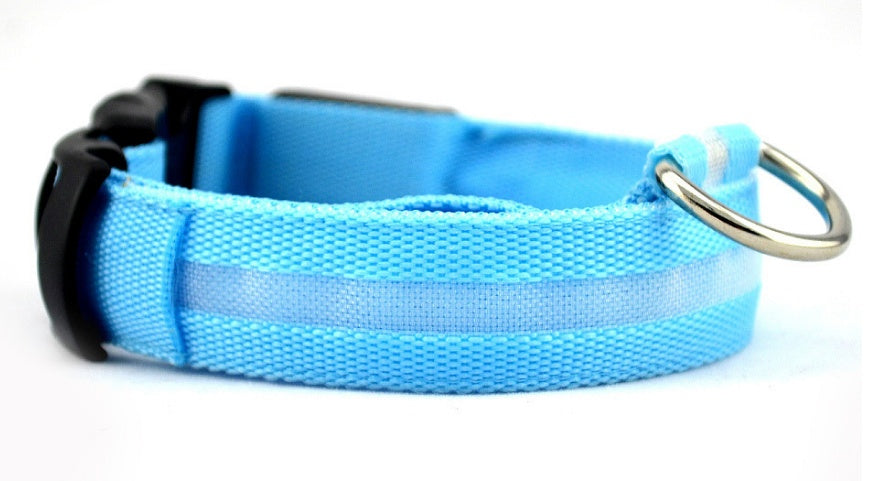 LED Light-Up Dog Collar - Flashing Glow in the Dark Safety Collar, USB or Battery