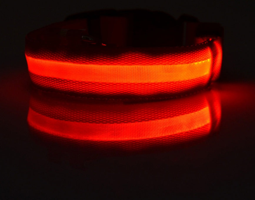 LED Light-Up Dog Collar - Flashing Glow in the Dark Safety Collar, USB or Battery