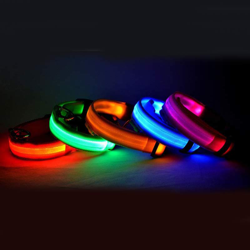 LED Light-Up Dog Collar - Flashing Glow in the Dark Safety Collar, USB or Battery