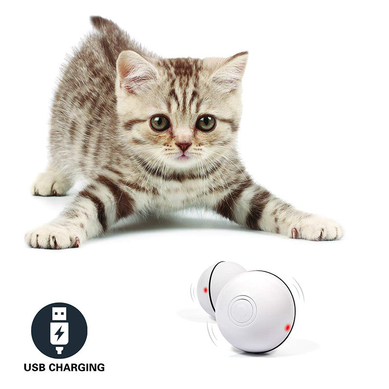LED Rolling Cat Toy Ball - Light-Up Interactive Ball with Bell & Feathers