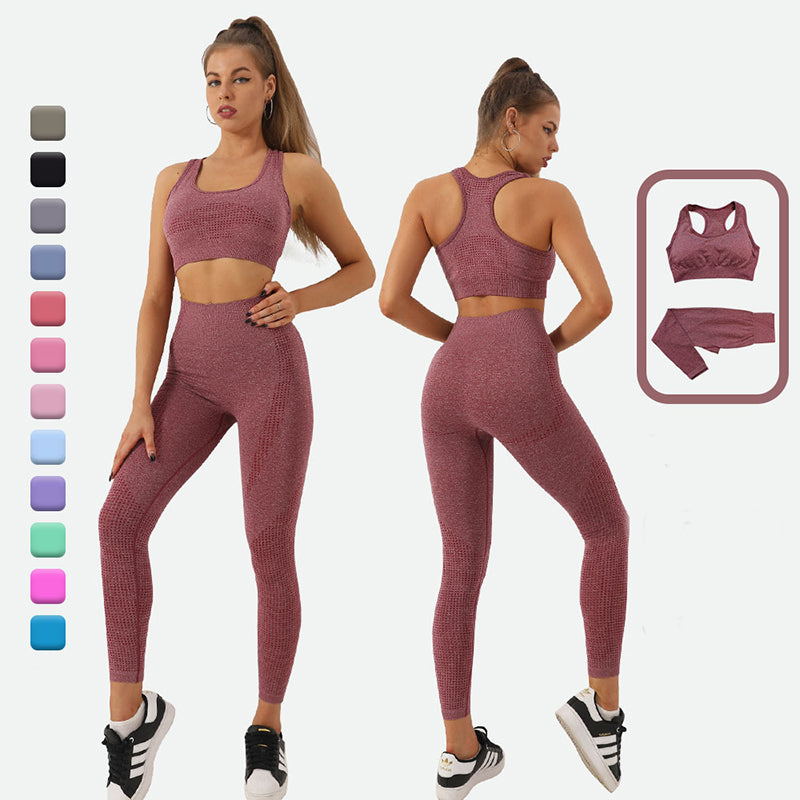 2PCS Seamless Yoga Set Women Tracksuit High Waist Leggings Workout