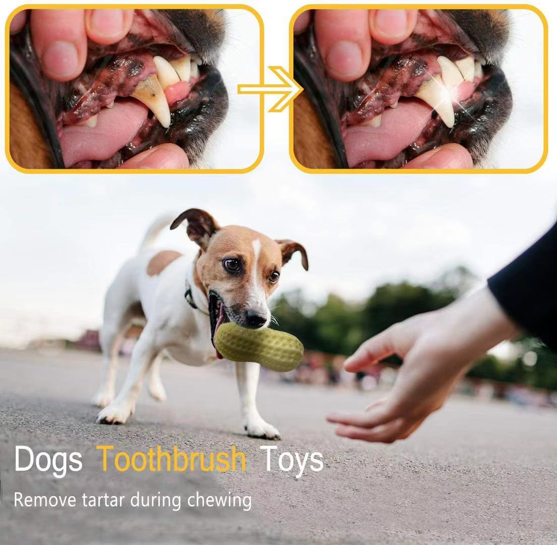 Squeaky Peanut Dog Chew Toy - Bite Resistant Natural Rubber Toy for Small & Medium Dogs
