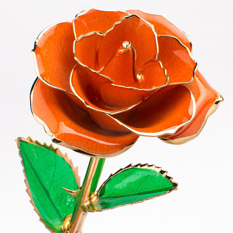 24K Gold-Plated Rose with Gift Box - Eternal Flower Valentine’s Day & Anniversary Gift