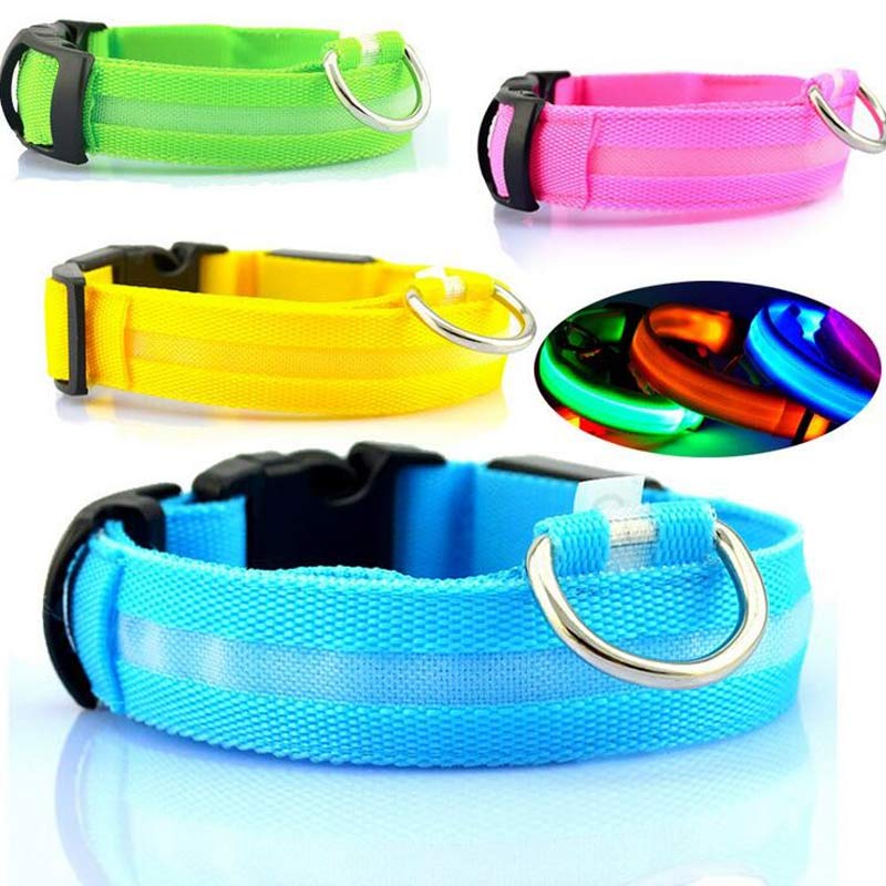 LED Light-Up Dog Collar - Flashing Glow in the Dark Safety Collar, USB or Battery