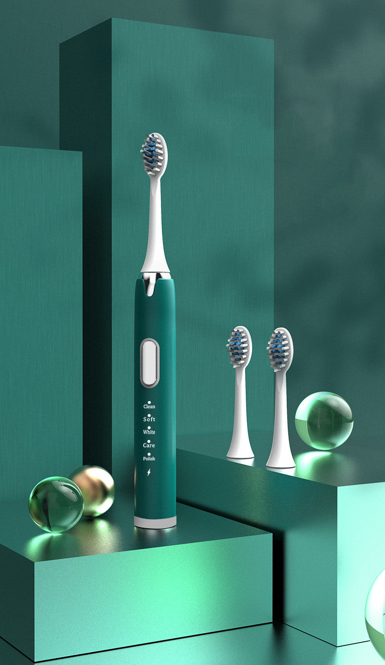 Ultrasonic Sonic Electric Toothbrush - USB Rechargeable with Brush Heads