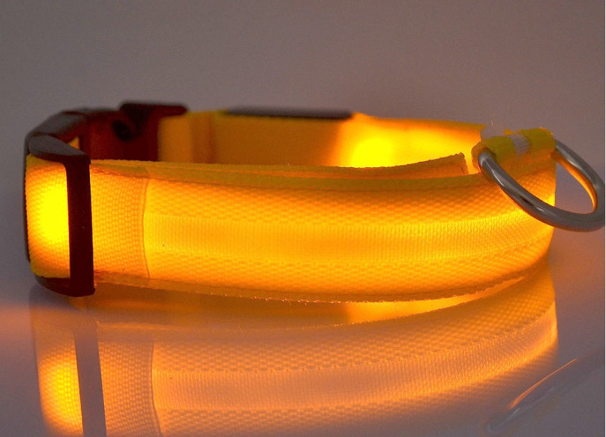 LED Light-Up Dog Collar - Flashing Glow in the Dark Safety Collar, USB or Battery