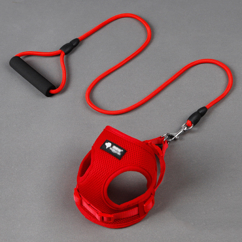Dog Harness & Leash Set - Soft Mesh Harness with 120 cm Lead for Small Dogs