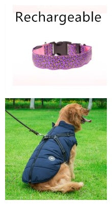 Leopard LED Dog Collar - Adjustable Light-Up Safety Collar, Battery or Rechargeable