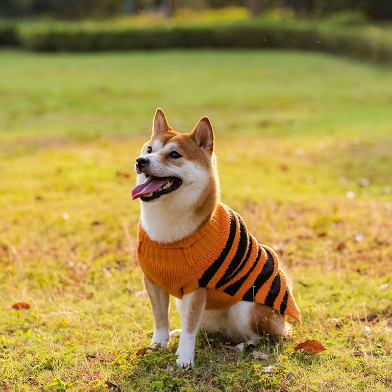 Halloween Dog Sweater - Warm Knit Pumpkin & Embroidery Pet Jumper