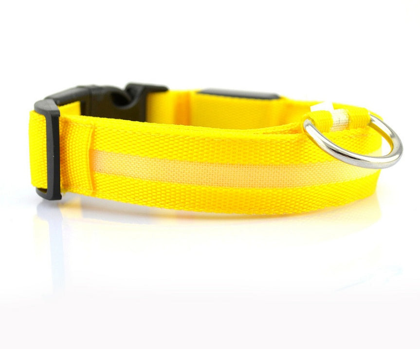 LED Light-Up Dog Collar - Flashing Glow in the Dark Safety Collar, USB or Battery