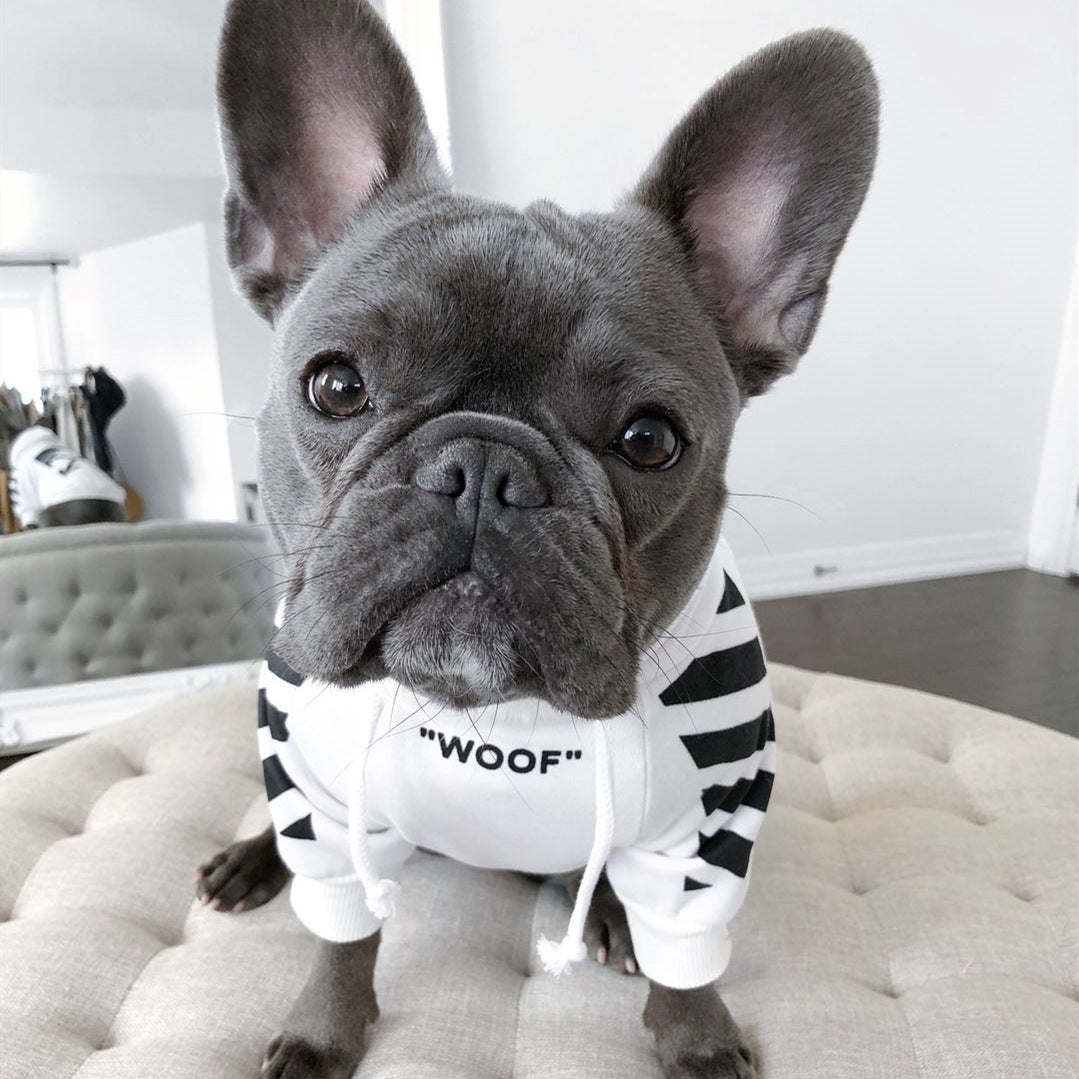 Corgi & Schnauzer Fashion Pet Clothes - Dog Outfit