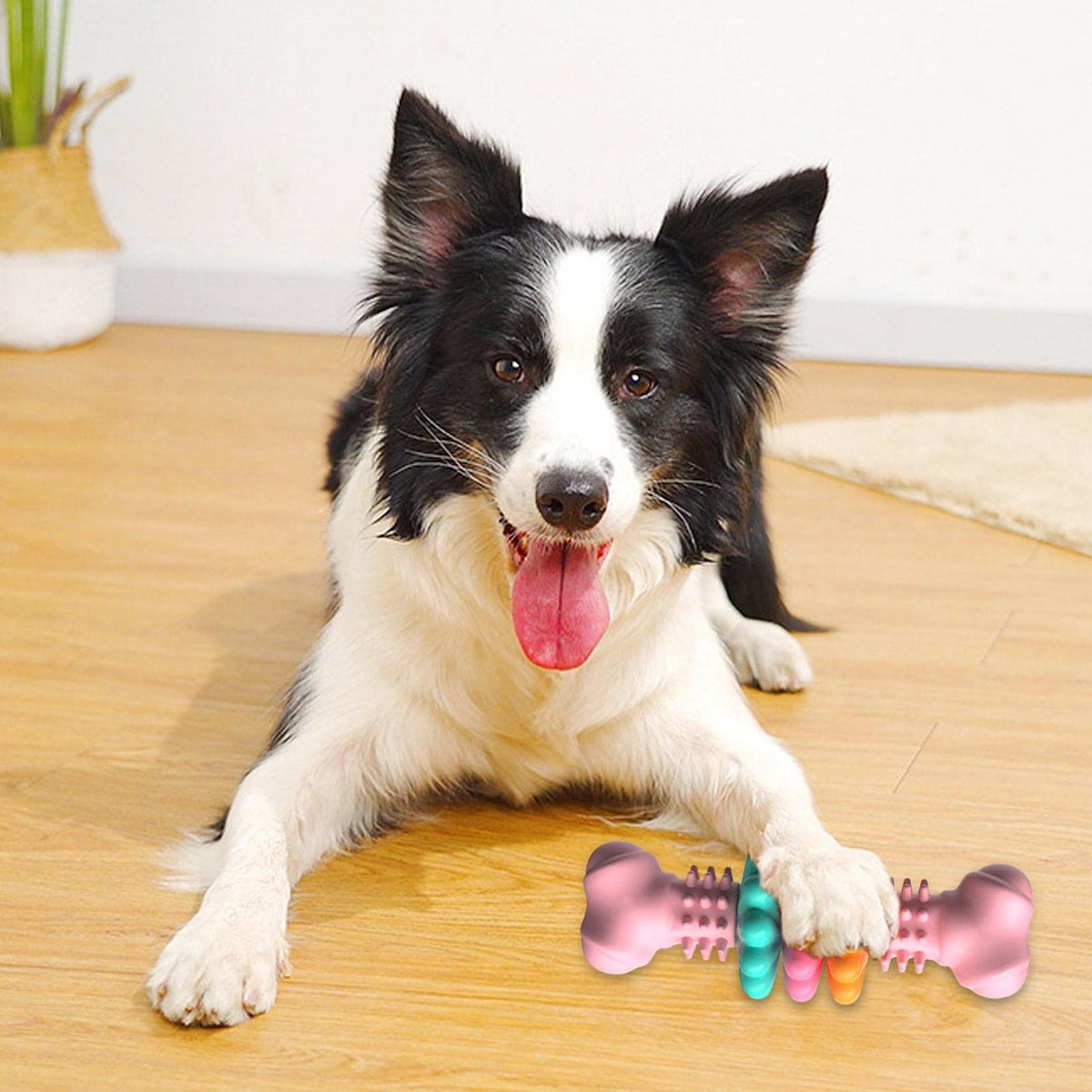 TPR Bone Dog Chew Toy