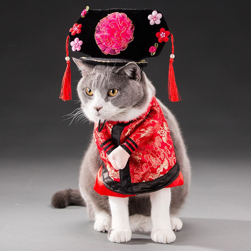 Spring & Autumn Pet Cat Costume - Cute Cat Clothes