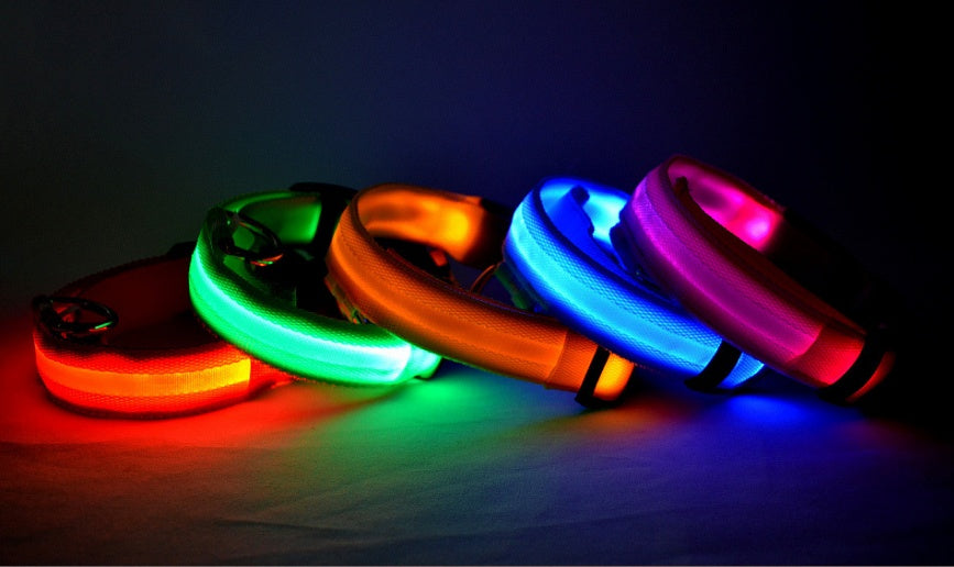 LED Light-Up Dog Collar - Flashing Glow in the Dark Safety Collar, USB or Battery