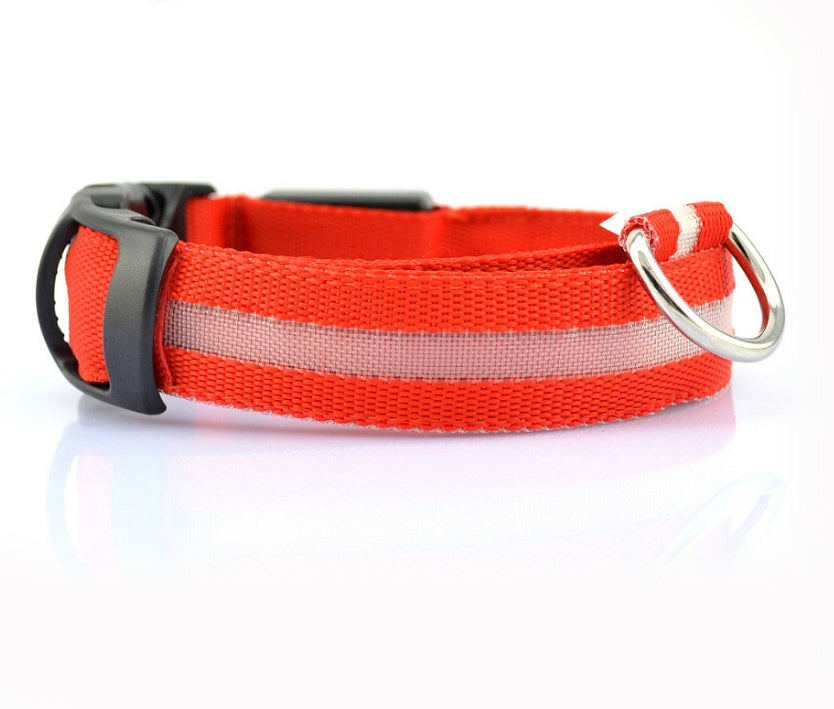 LED Light-Up Dog Collar - Flashing Glow in the Dark Safety Collar, USB or Battery