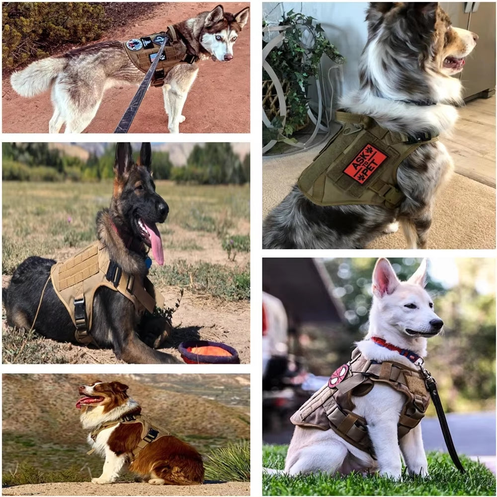 Tactical Dog Harness & Leash Set - 1000D Nylon Training Vest (Ships from US)