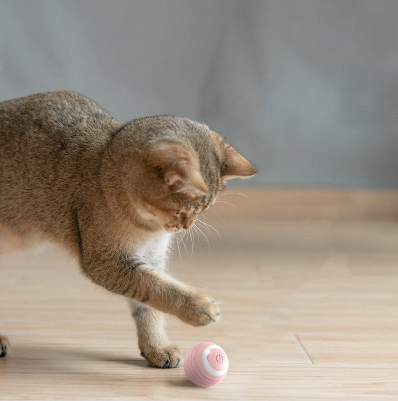 Automatic Bouncing Cat Ball - Rechargeable Self-Moving Kitten Toy