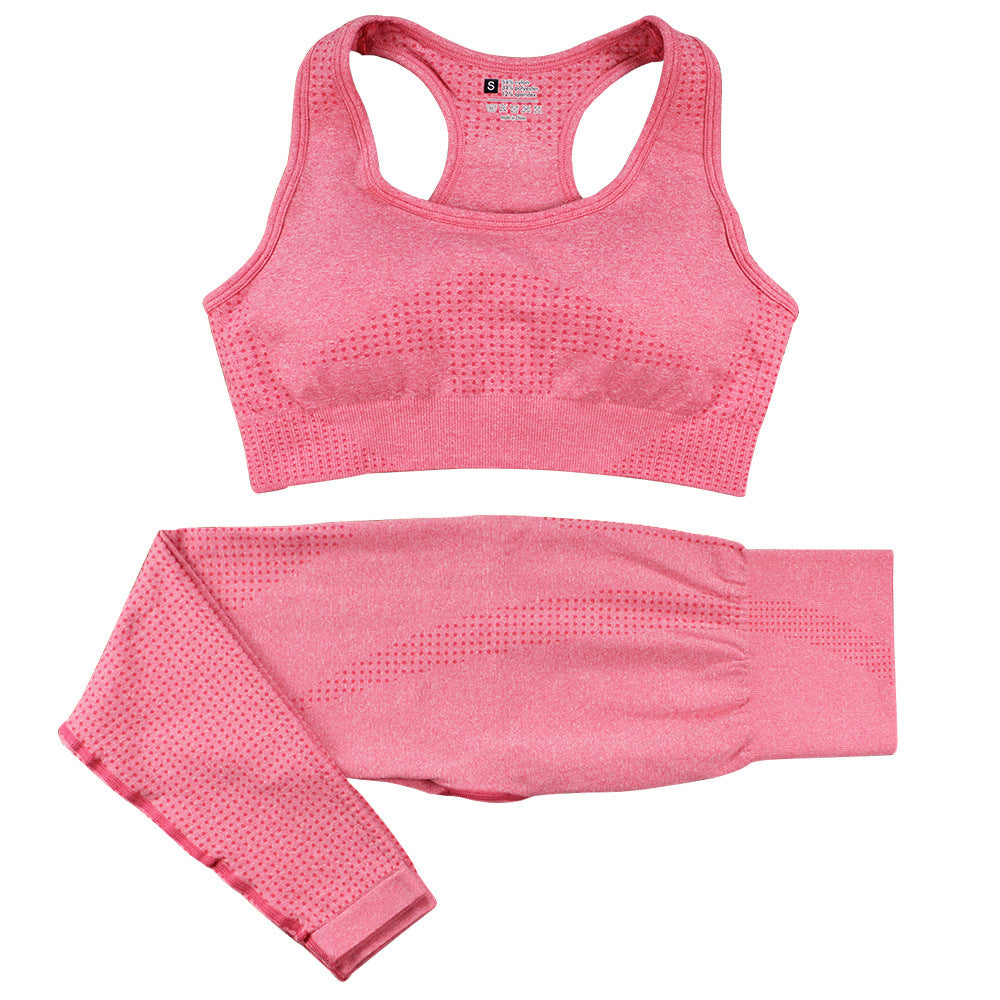 2PCS Seamless Yoga Set Women Tracksuit High Waist Leggings Workout