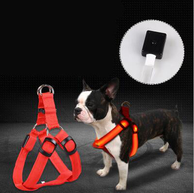 LED Light-Up Dog Harness - Glowing Reflective Chest Harness, USB or Battery