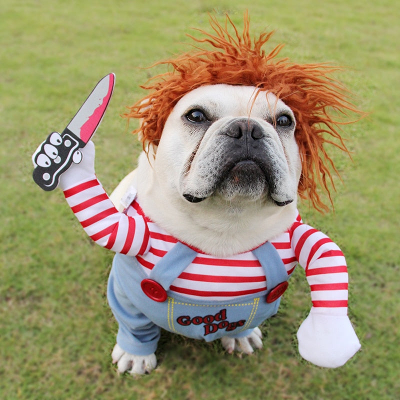 Headless Horseman Dog Costume - Funny Halloween Rider Outfit for Dogs