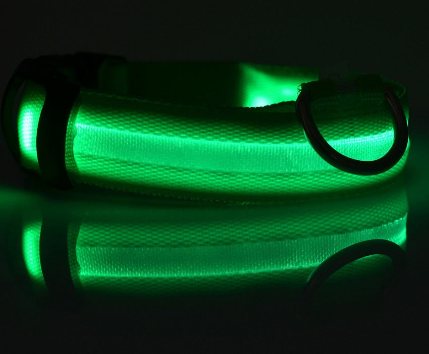LED Light-Up Dog Collar - Flashing Glow in the Dark Safety Collar, USB or Battery